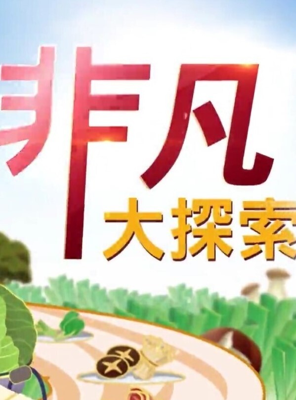 酒店偷拍 老王中午约炮单位少妇女同事跪舔鸡巴站着插几下热身各种姿势草 - 皮皮猪