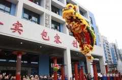 醒狮贺岁，开云手机站登入-开云online(中国)2019年开工大吉